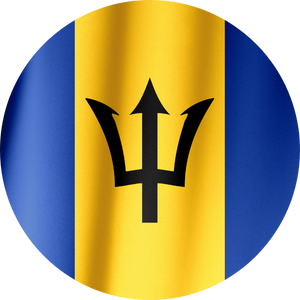 barbados visa services