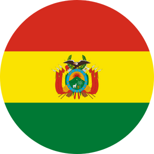 bolivia visa services