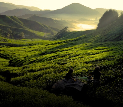 east india trip packages