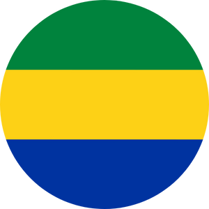 gabon visa services