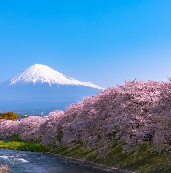 japan cultural tour packages