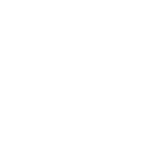 visa services chennai